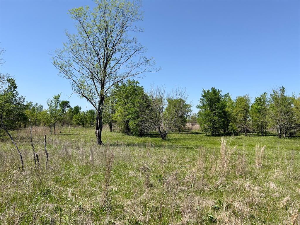 1275 Snows Arena Road