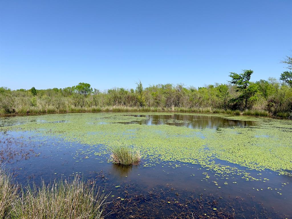 1275 Snows Arena Road