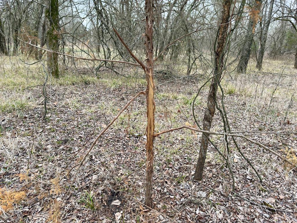 1275 Snows Arena Road