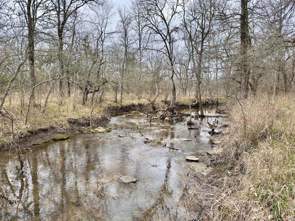 1275 Snows Arena Road