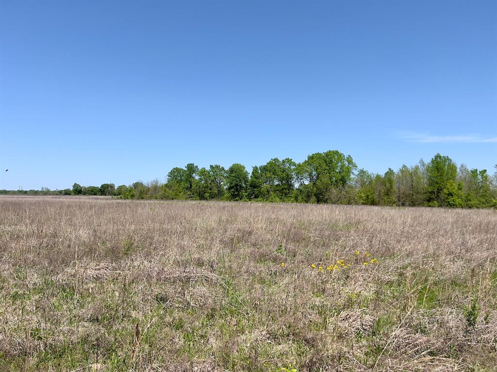 1275 Snows Arena Road