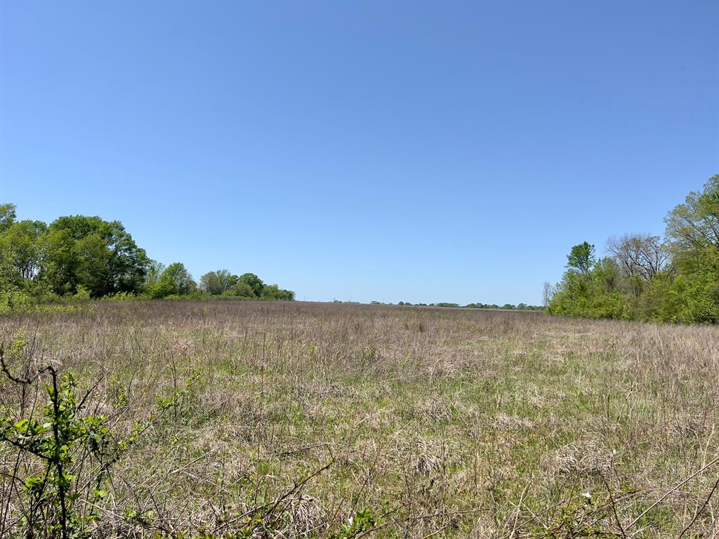 1275 Snows Arena Road