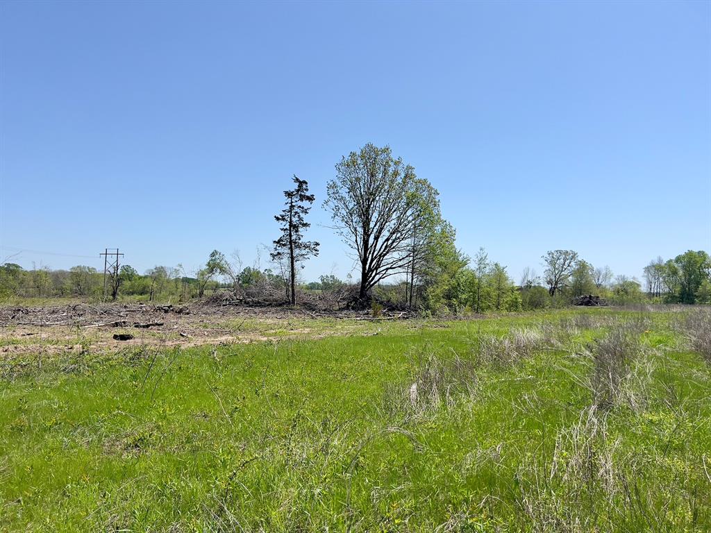 1275 Snows Arena Road