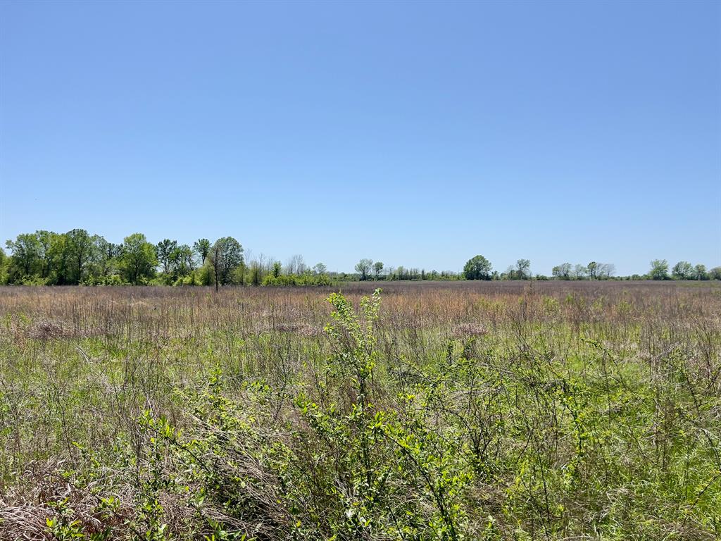 1275 Snows Arena Road