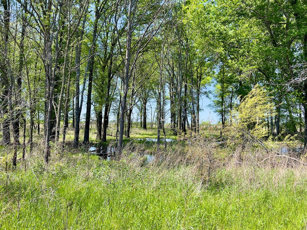 1275 Snows Arena Road