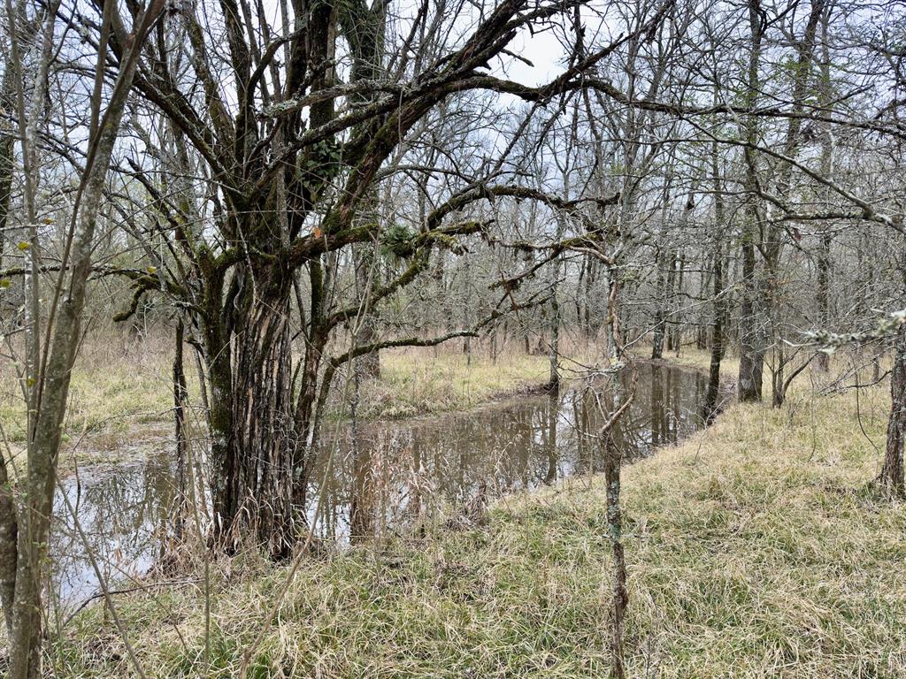 1275 Snows Arena Road