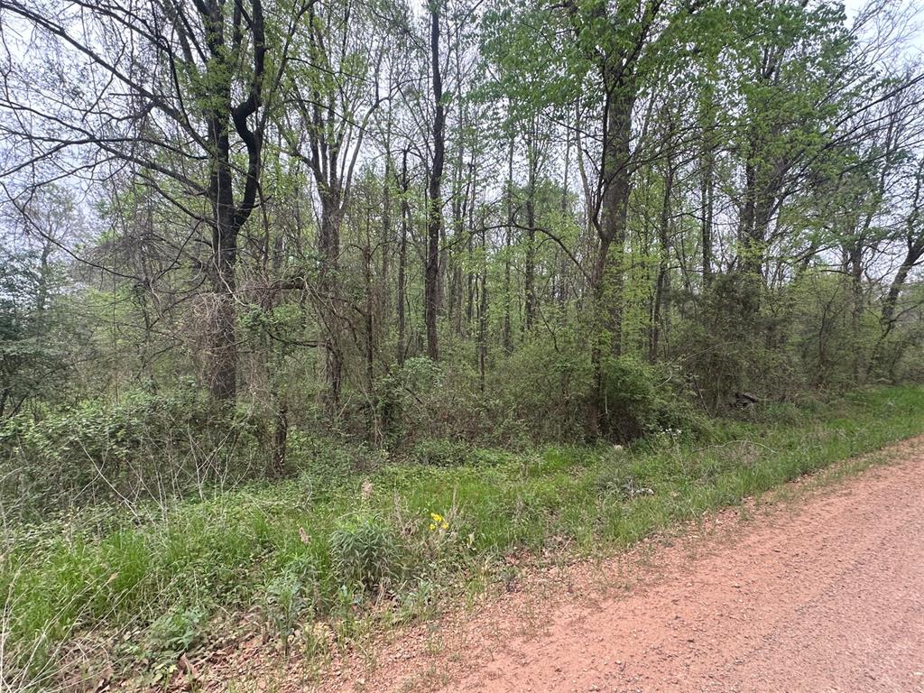 226 Butler Pool Road