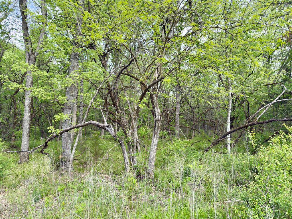 812 Valliant Bypass Road