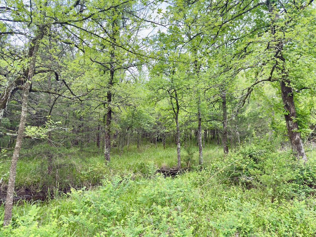 812 Valliant Bypass Road