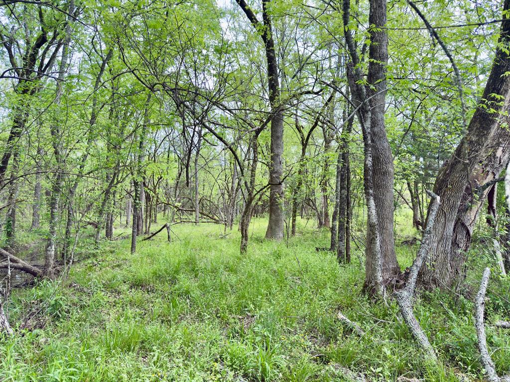 812 Valliant Bypass Road