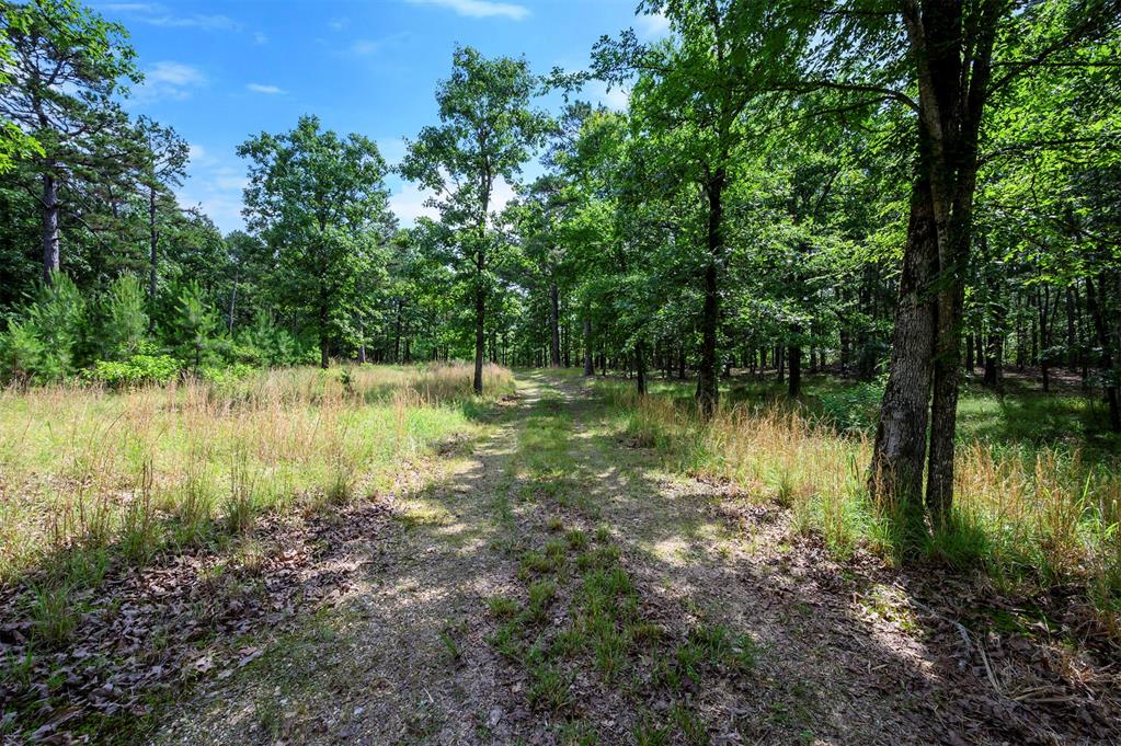 995 Hidden Oaks Trail