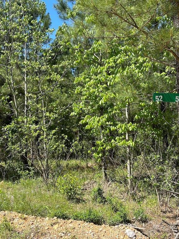 135 Crooked Stick Trail