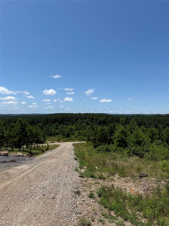 94 Rose Hill Trail