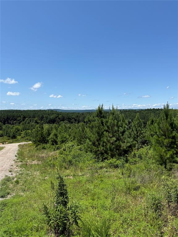 94 Rose Hill Trail