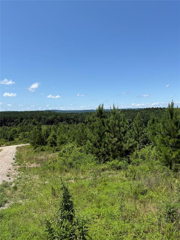 94 Rose Hill Trail