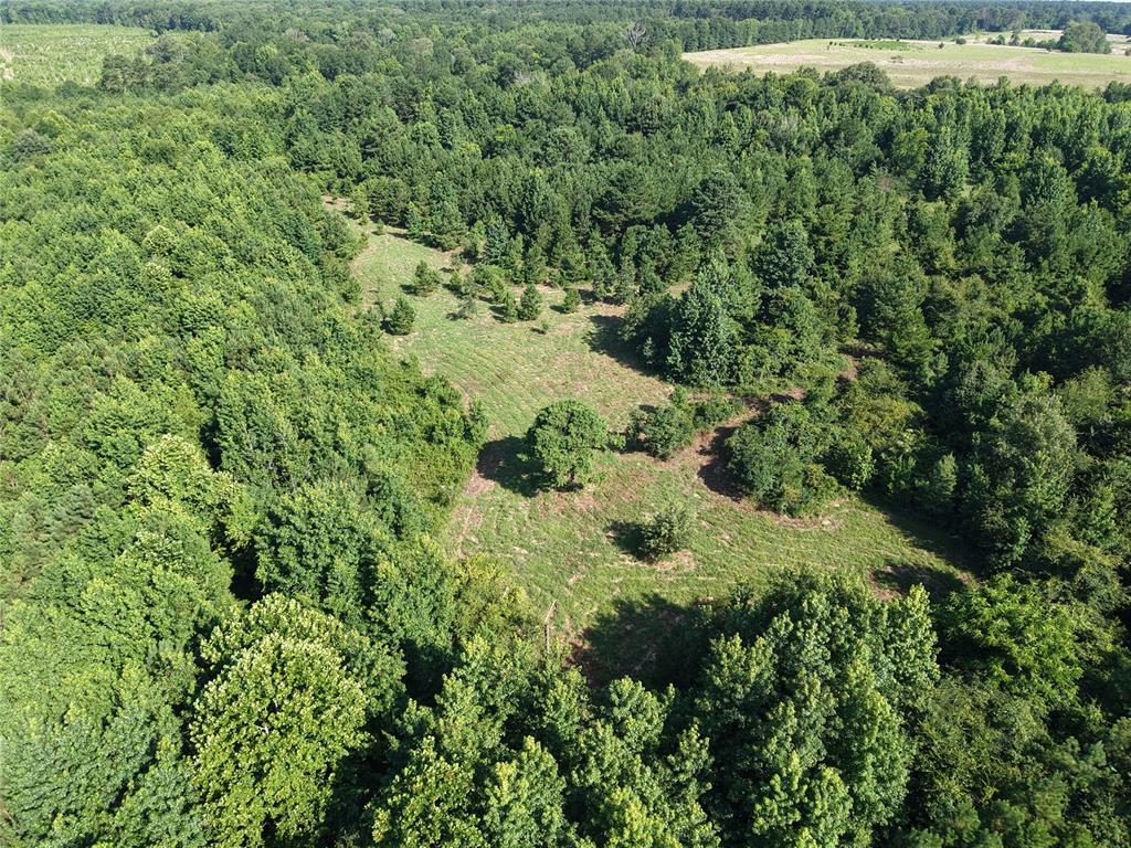 37 TBD Butler Road Road