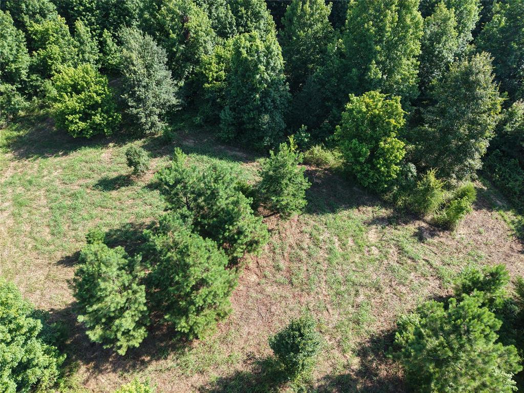 37 TBD Butler Road Road
