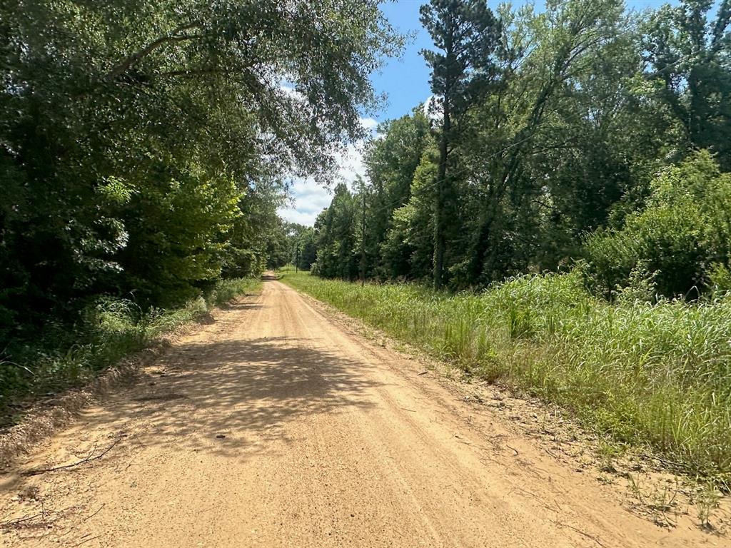 37 TBD Butler Road Road