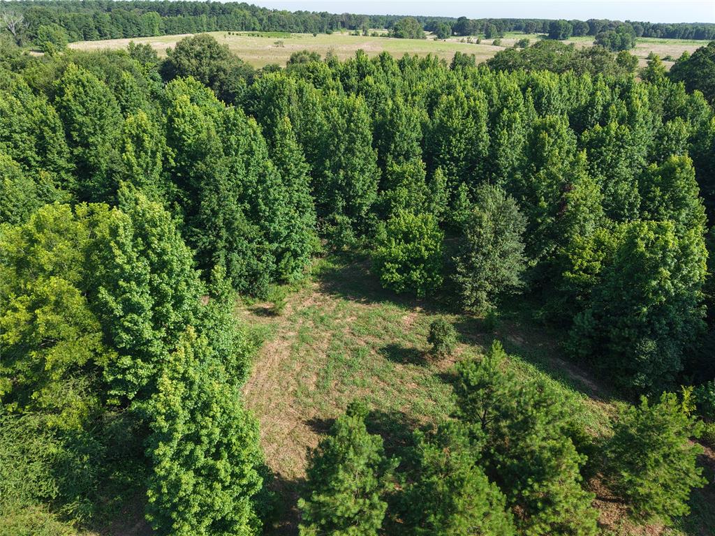37 TBD Butler Road Road