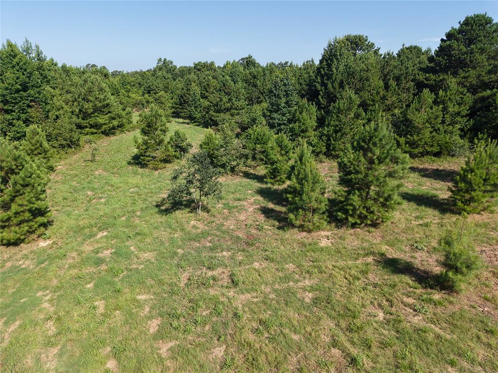 37 TBD Butler Road Road