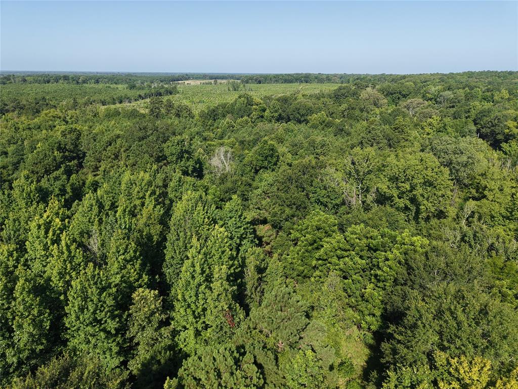 37 TBD Butler Road Road