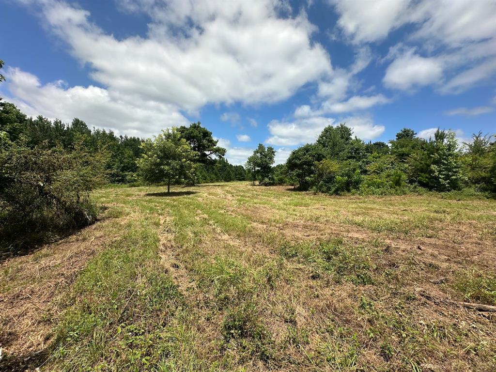 37 TBD Butler Road Road