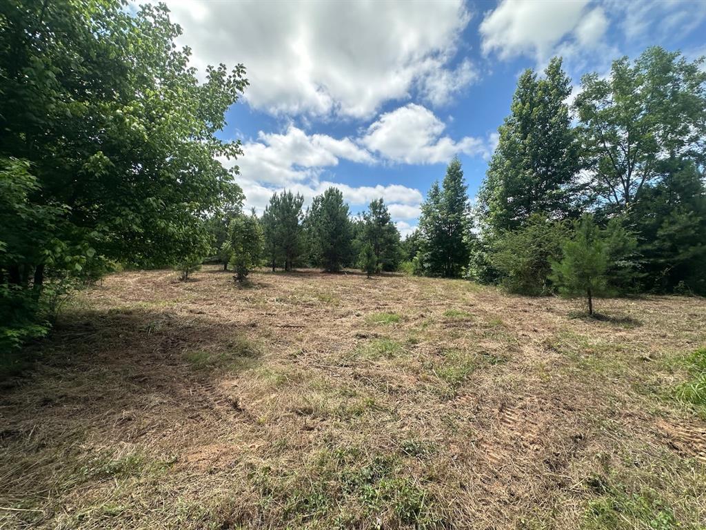 37 TBD Butler Road Road