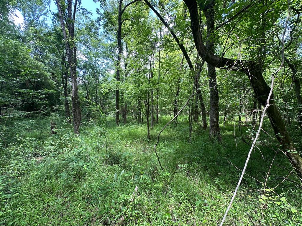 37 TBD Butler Road Road