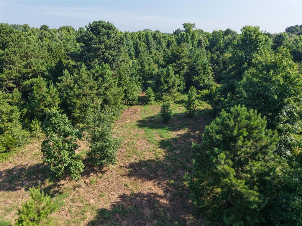 37 TBD Butler Road Road