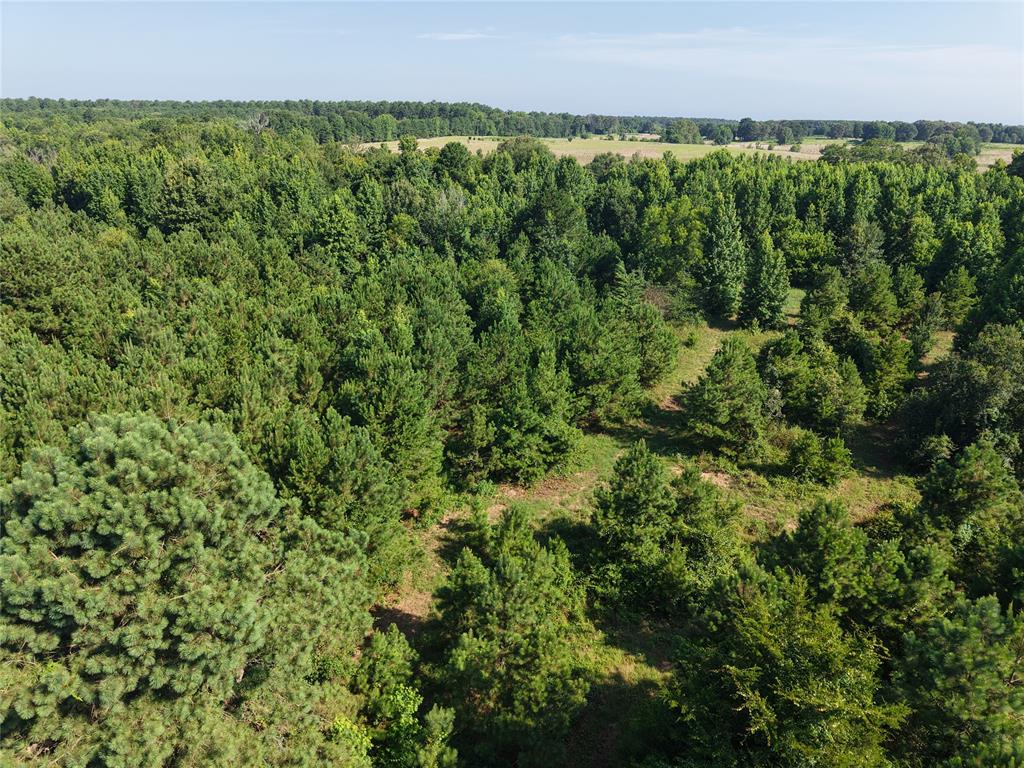 37 TBD Butler Road Road