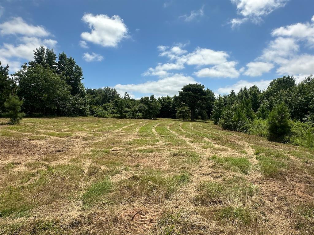 37 TBD Butler Road Road