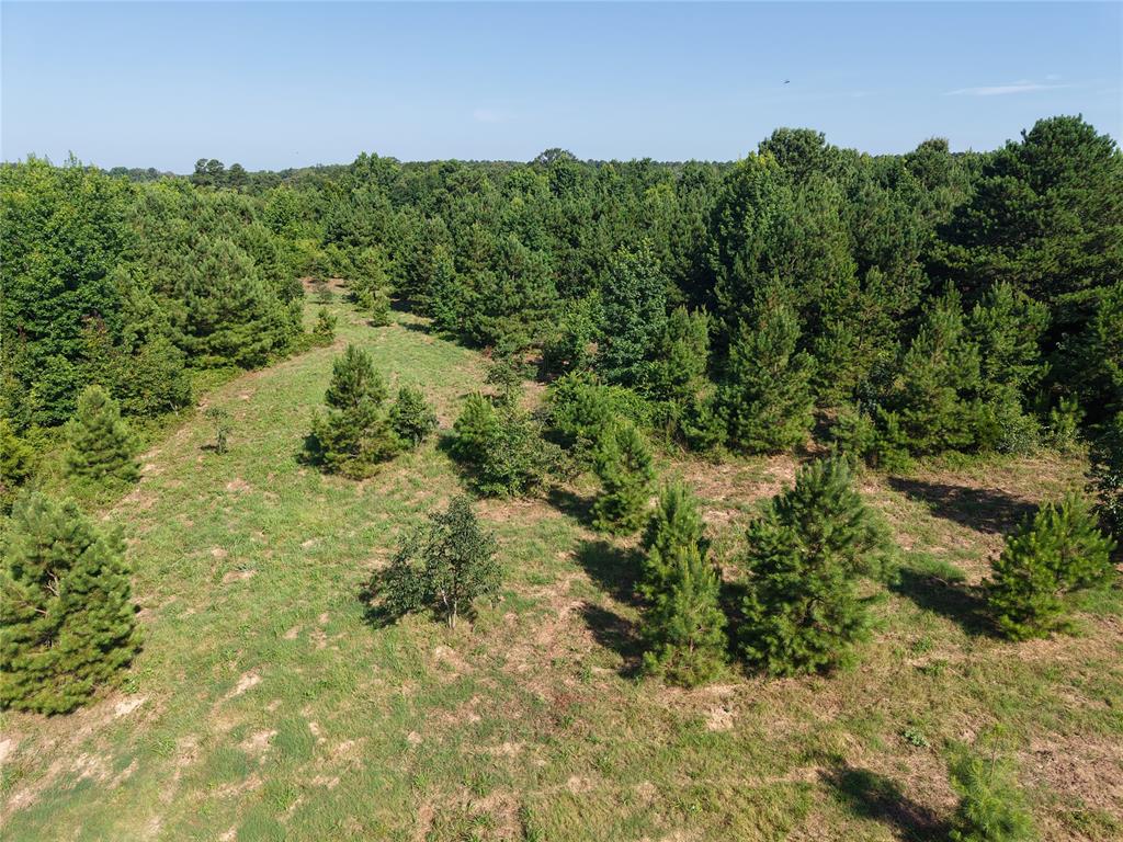 37 TBD Butler Road Road