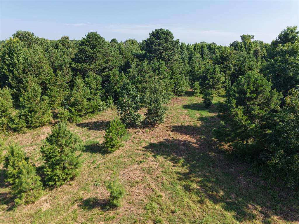 37 TBD Butler Road Road