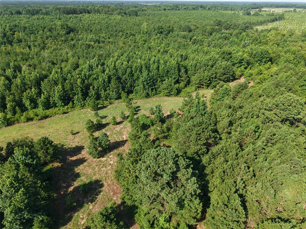 37 TBD Butler Road Road