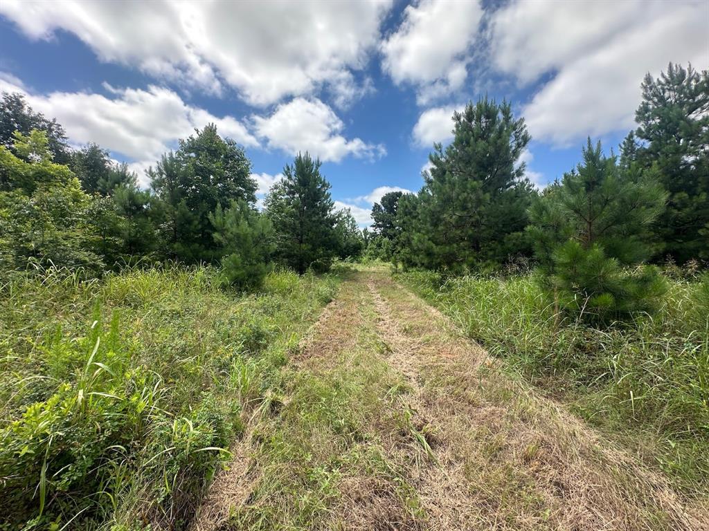 37 TBD Butler Road Road