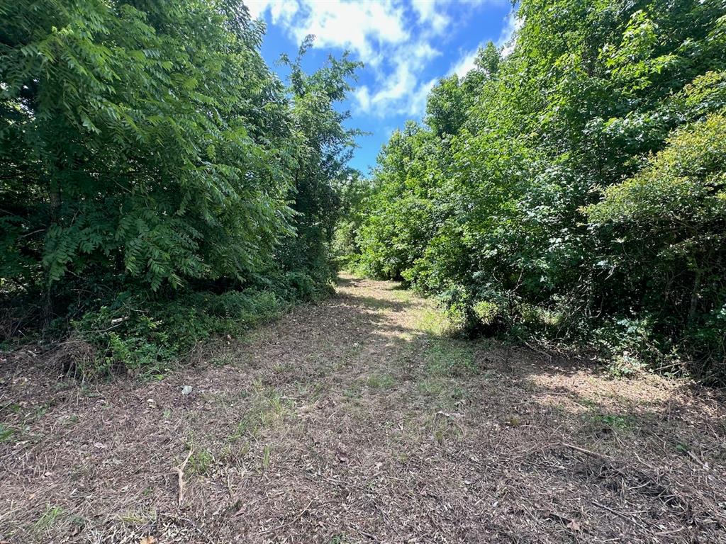 37 TBD Butler Road Road