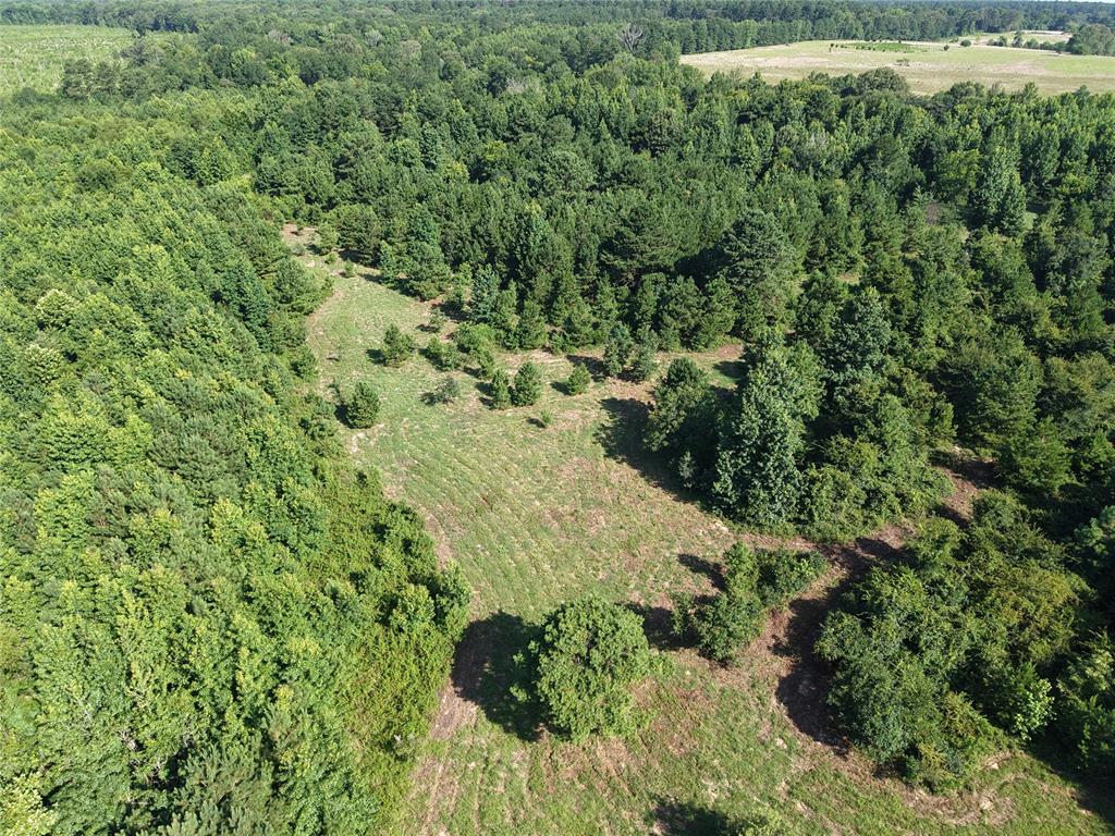 37 TBD Butler Road Road