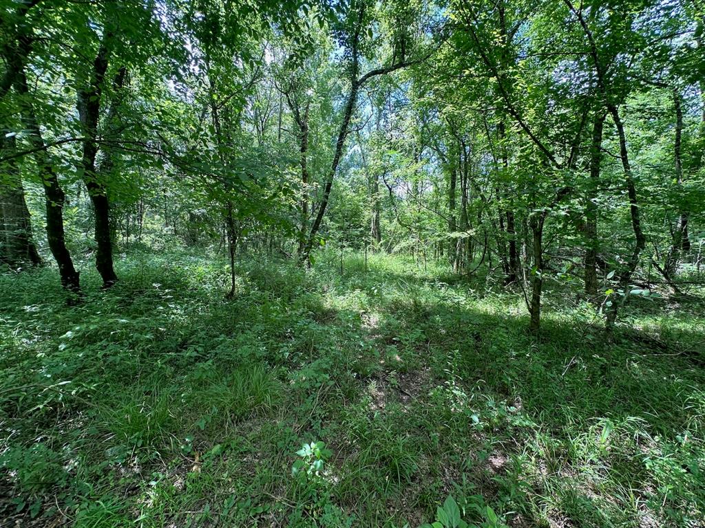 37 TBD Butler Road Road