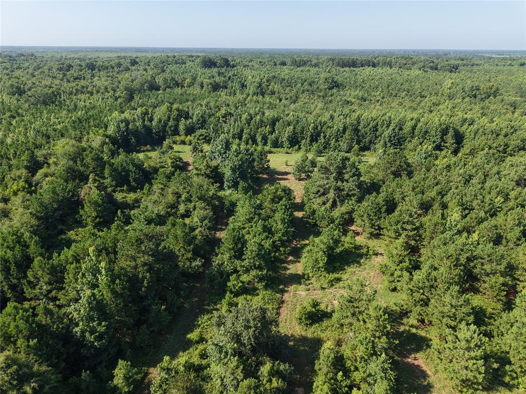 37 TBD Butler Road Road