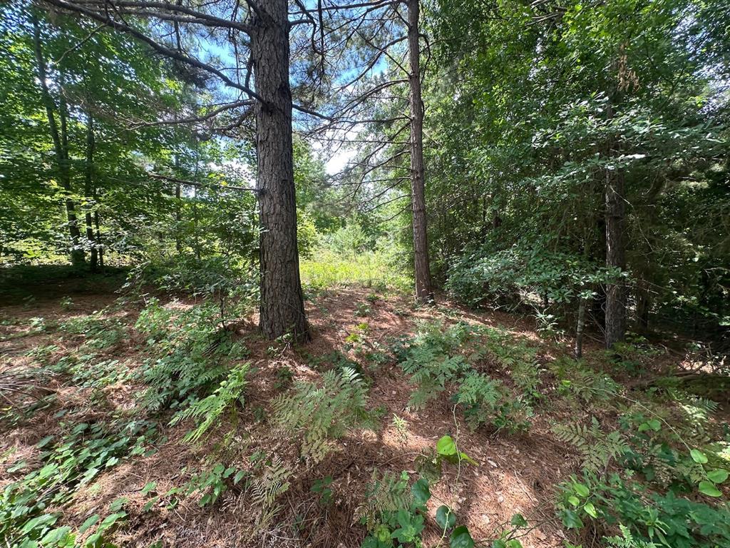 37 TBD Butler Road Road
