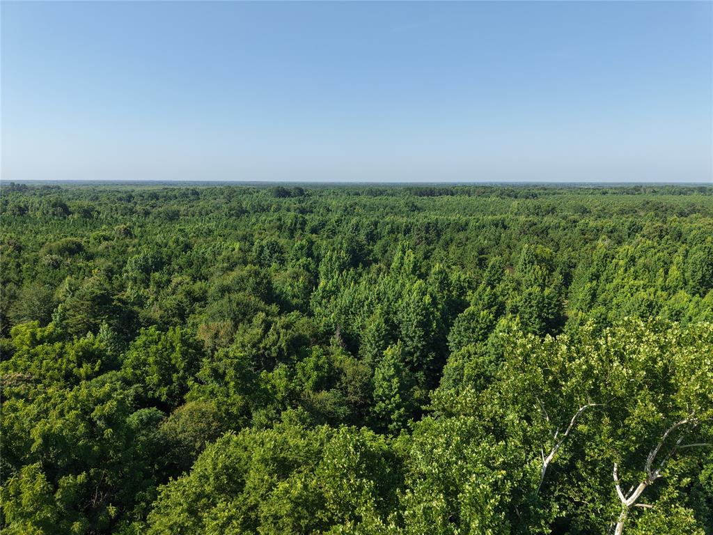 37 TBD Butler Road Road