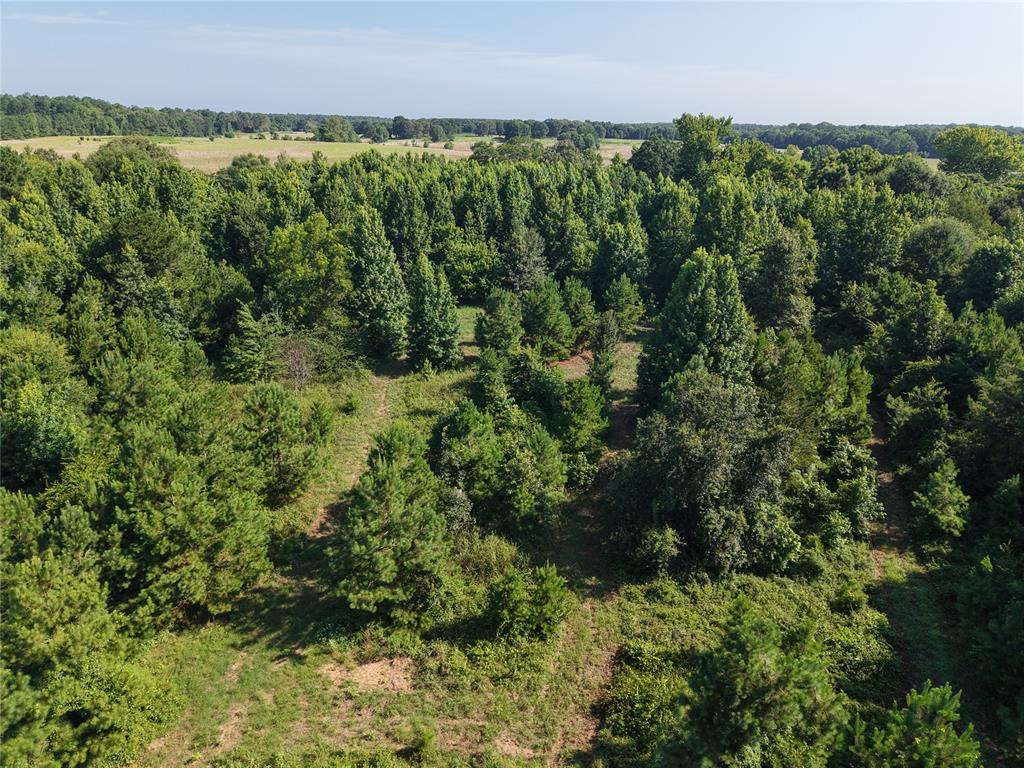 37 TBD Butler Road Road