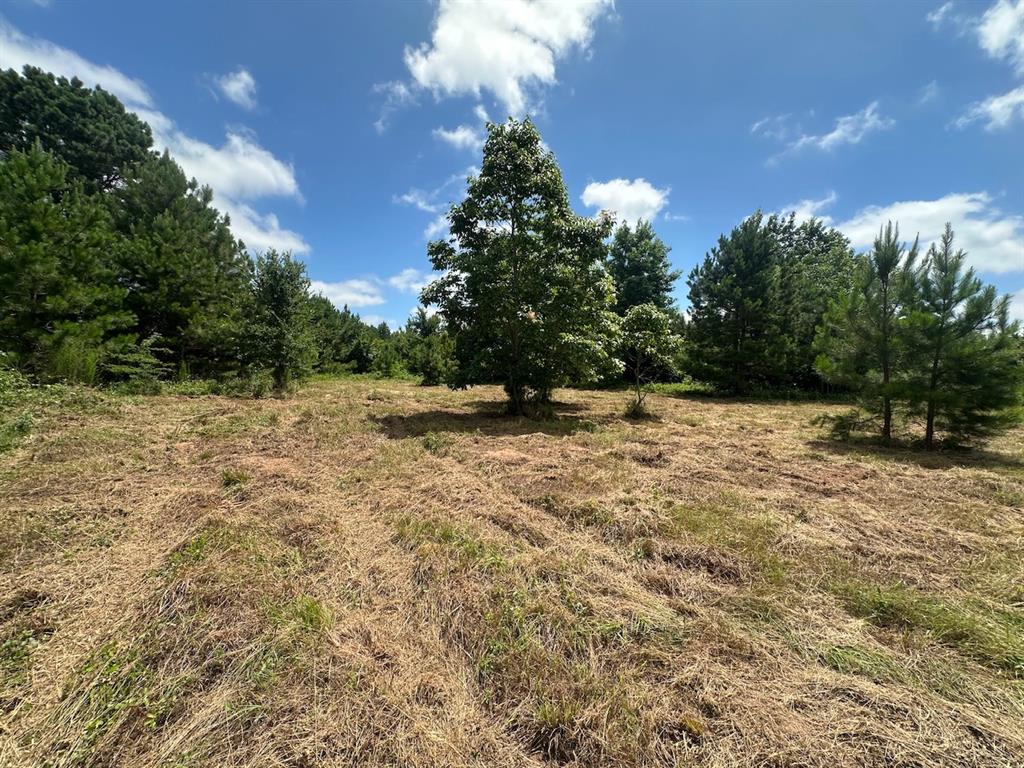 37 TBD Butler Road Road