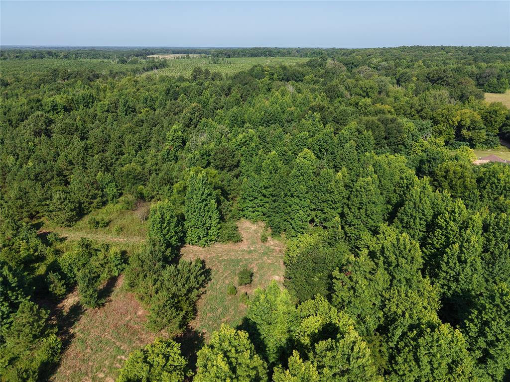 37 TBD Butler Road Road