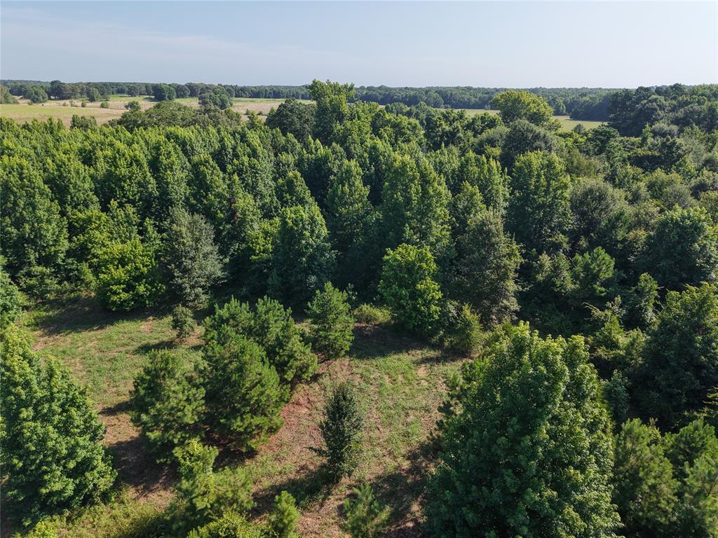 37 TBD Butler Road Road