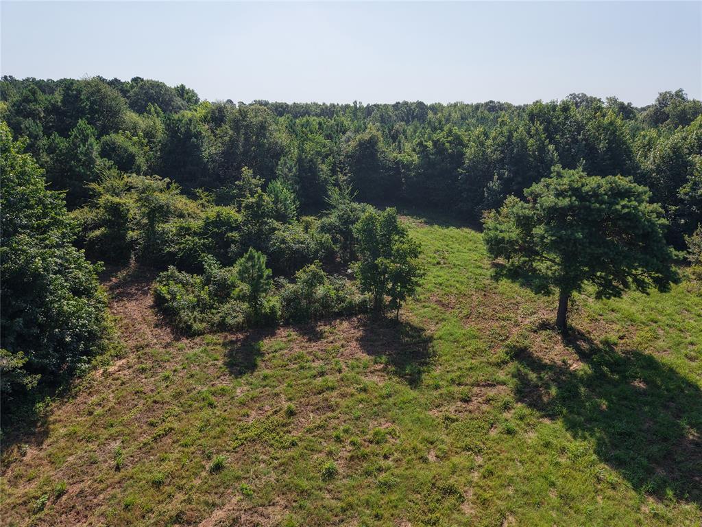 37 TBD Butler Road Road