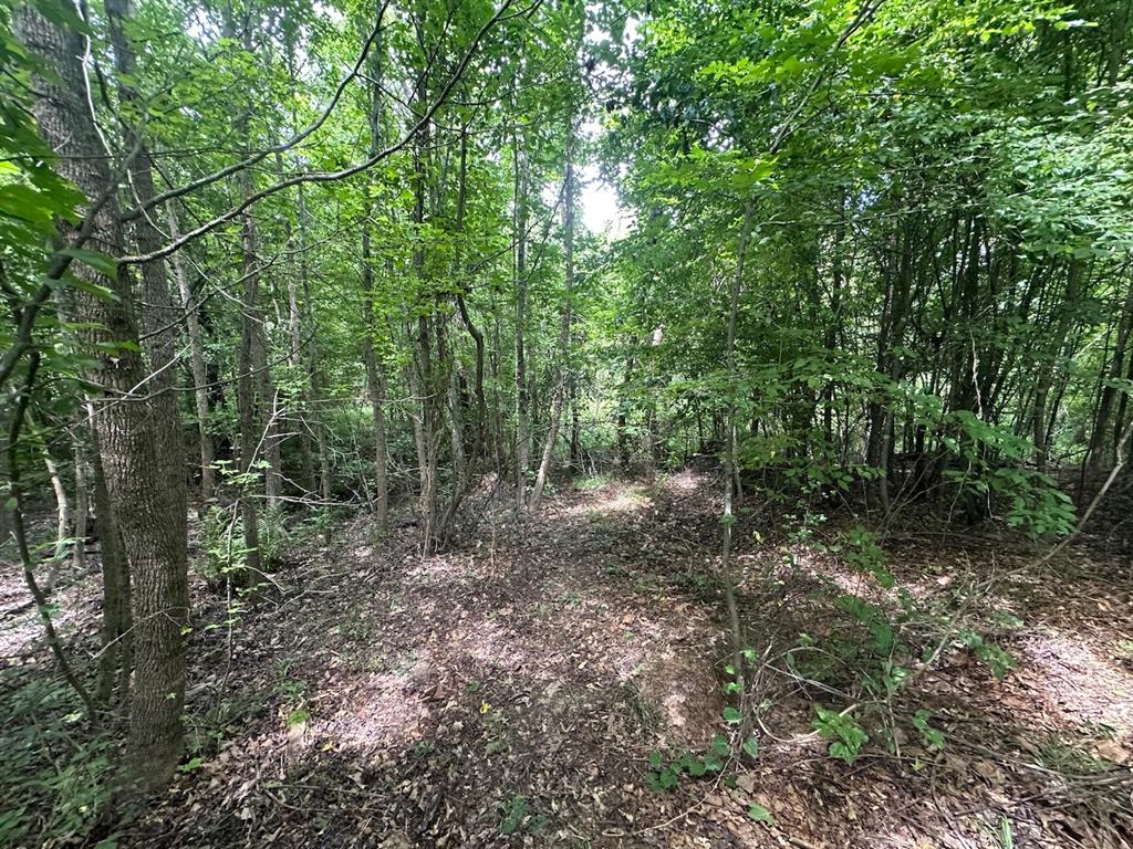 37 TBD Butler Road Road