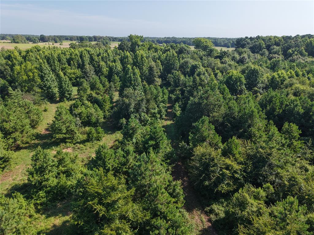 37 TBD Butler Road Road