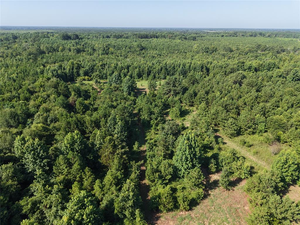 37 TBD Butler Road Road