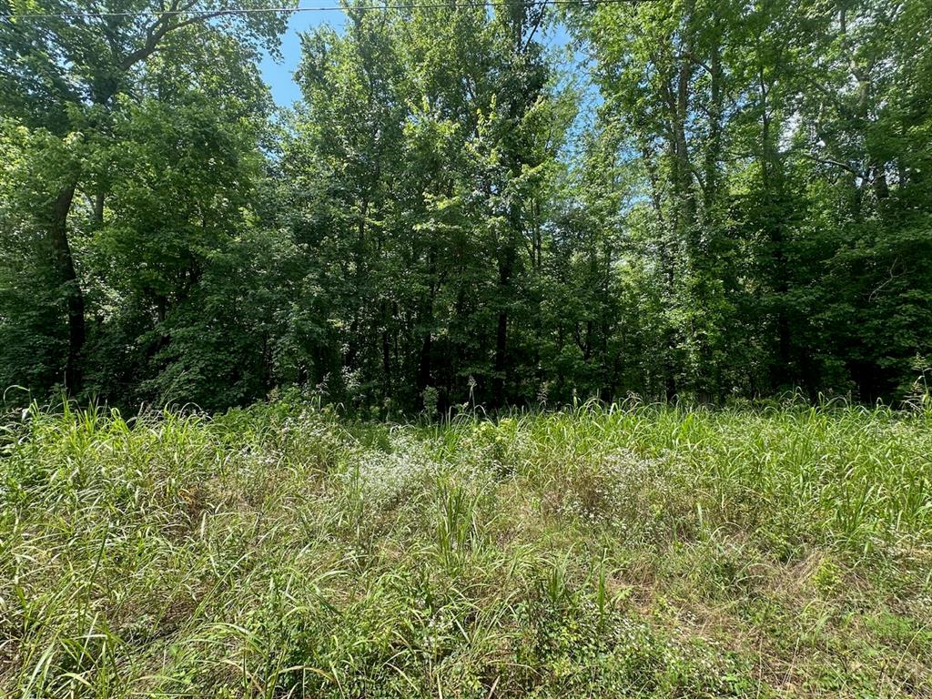 37 TBD Butler Road Road